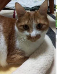 �X�^�b�t�ʐ^